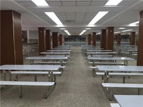 廣東鴻美佳家具廠專業(yè)定制不銹鋼餐桌椅 品質(zhì)、定制與價格解析